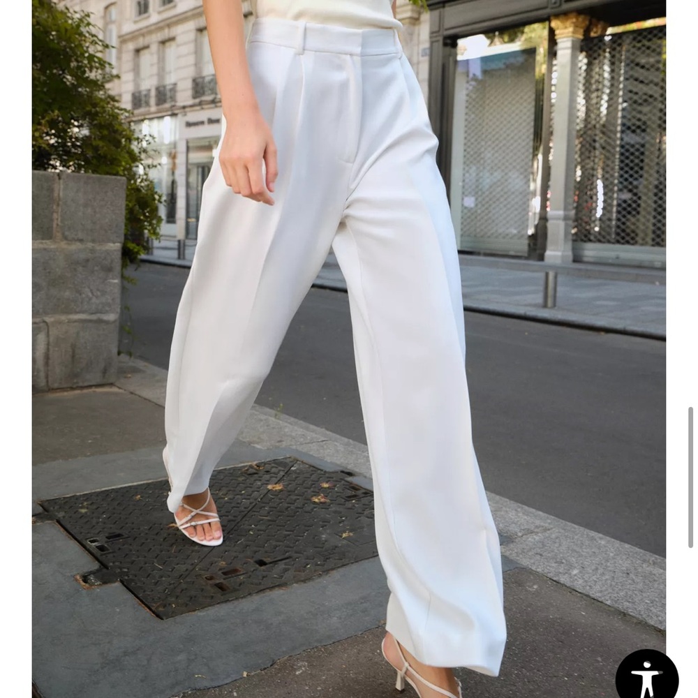 Zara Pleated Wide Leg Pants, Oyster White, Women’s XS